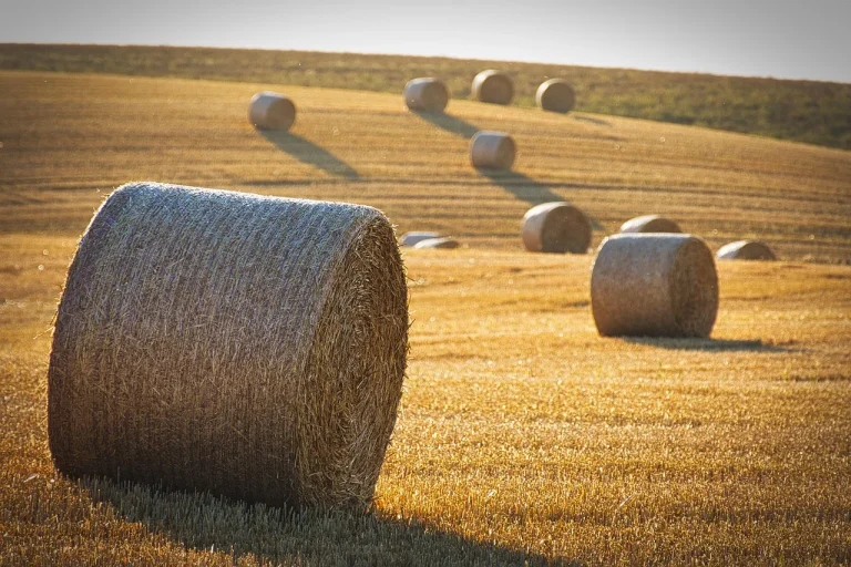 High Yield Savings 2026 Strategy